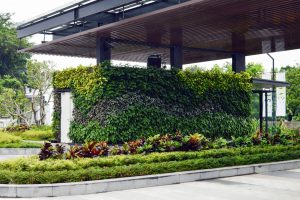 green wall indonesia office