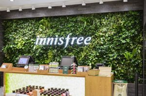 green wall retail indonesia