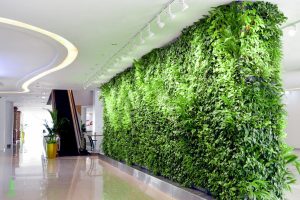 green wall indonesia mall